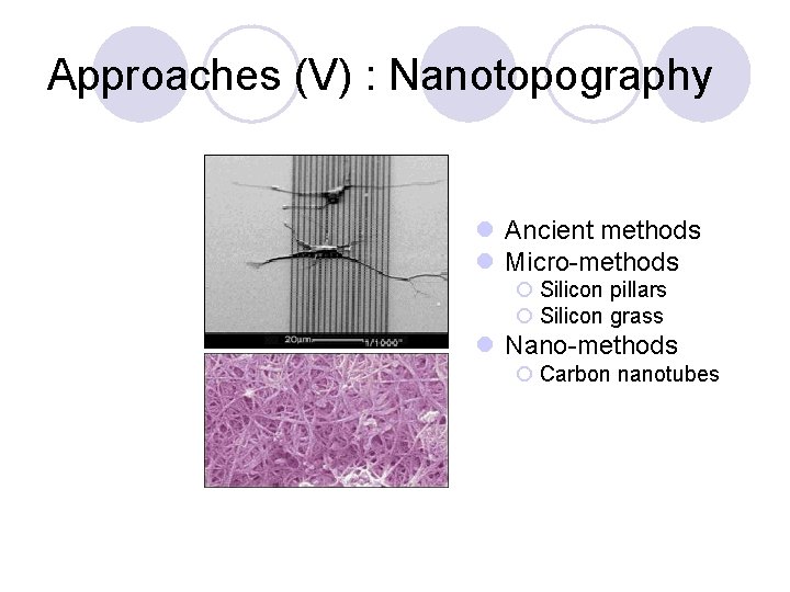 Approaches (V) : Nanotopography l Ancient methods l Micro-methods ¡ Silicon pillars ¡ Silicon