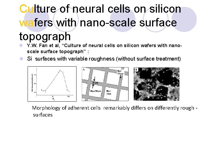 Culture of neural cells on silicon wafers with nano-scale surface topograph l Y. W.