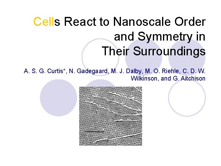 Cells React to Nanoscale Order and Symmetry in Their Surroundings A. S. G. Curtis*,