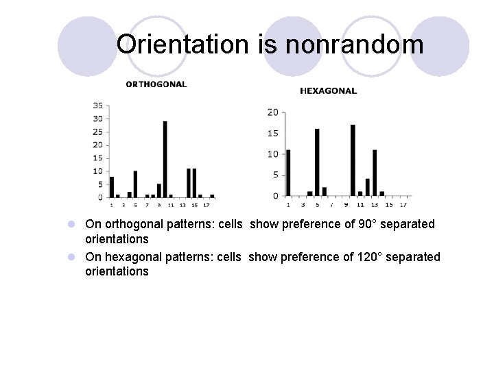 Orientation is nonrandom l On orthogonal patterns: cells show preference of 90° separated orientations