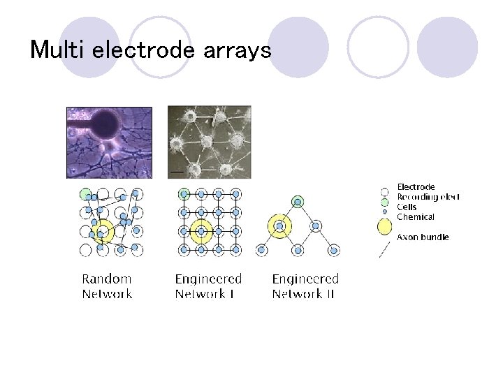 Multi electrode arrays 