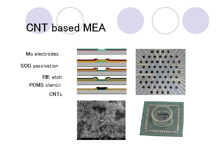 CNT based MEA Mo electrodes SOG passivation RIE etch PDMS stencil CNTs 