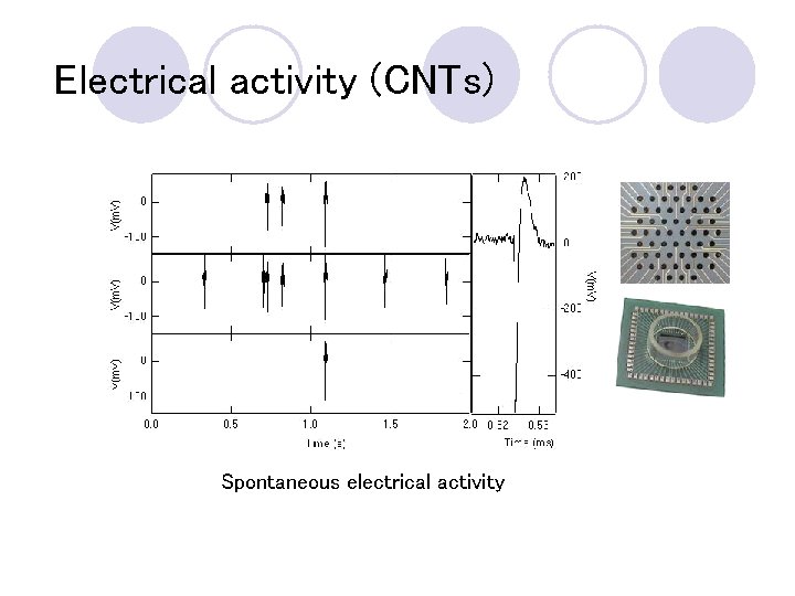Electrical activity (CNTs) Spontaneous electrical activity 