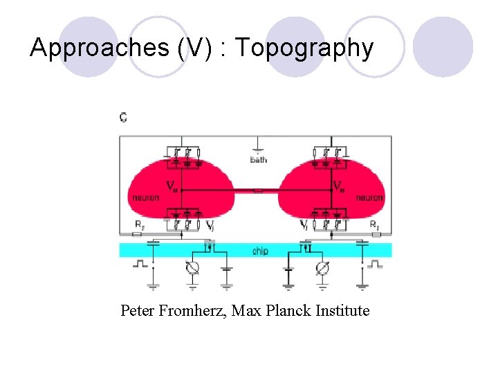 Approaches (V) : Topography Peter Fromherz, Max Planck Institute 