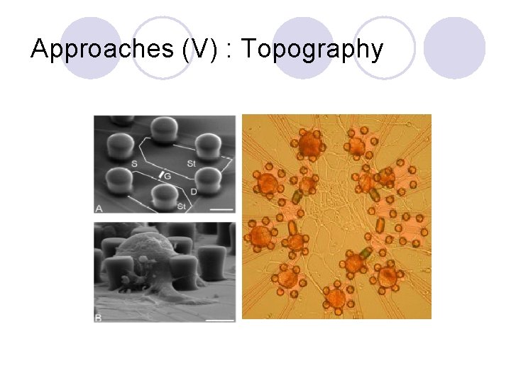 Approaches (V) : Topography 