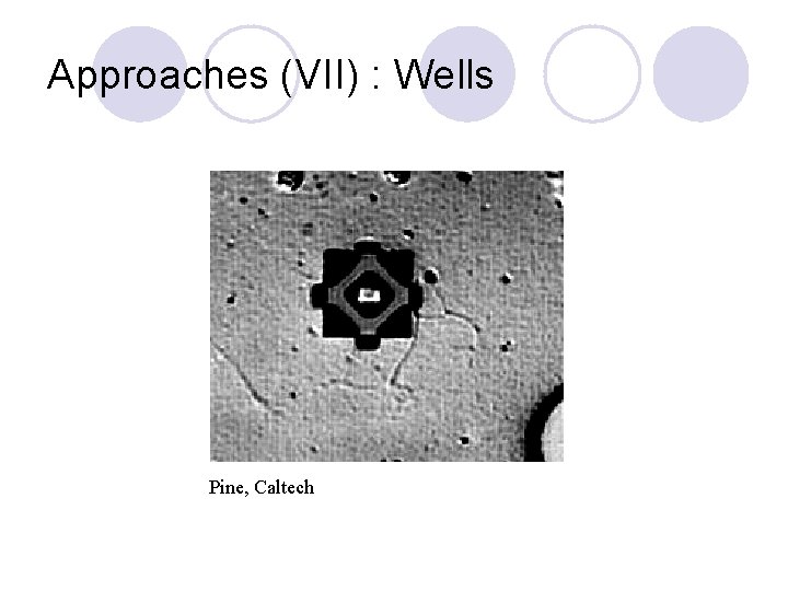 Approaches (VII) : Wells Pine, Caltech 