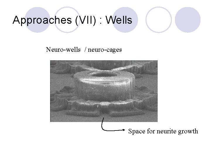 Approaches (VII) : Wells Neuro-wells / neuro-cages Space for neurite growth 