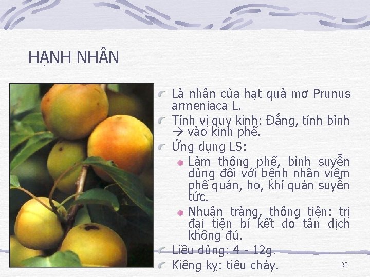 HẠNH NH N Là nhân của hạt quả mơ Prunus armeniaca L. Tính vị