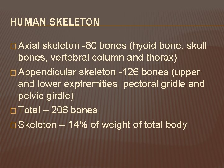 HUMAN SKELETON � Axial skeleton -80 bones (hyoid bone, skull bones, vertebral column and