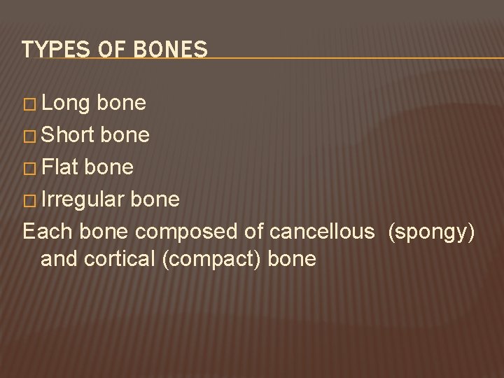 TYPES OF BONES � Long bone � Short bone � Flat bone � Irregular