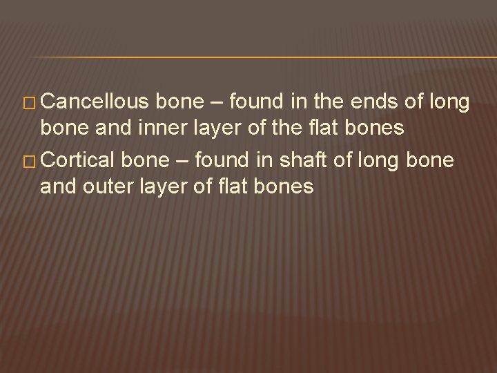� Cancellous bone – found in the ends of long bone and inner layer