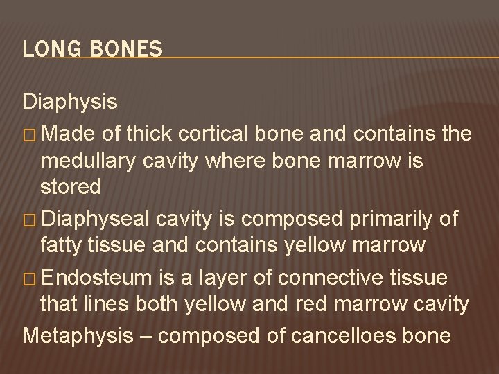LONG BONES Diaphysis � Made of thick cortical bone and contains the medullary cavity