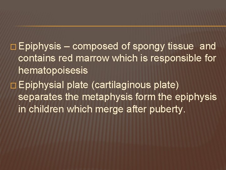 � Epiphysis – composed of spongy tissue and contains red marrow which is responsible