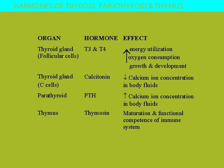 HARMONES OF THYROID, PARATHYROID & THYMUS ORGAN HORMONE EFFECT energy utilization oxygen consumption growth