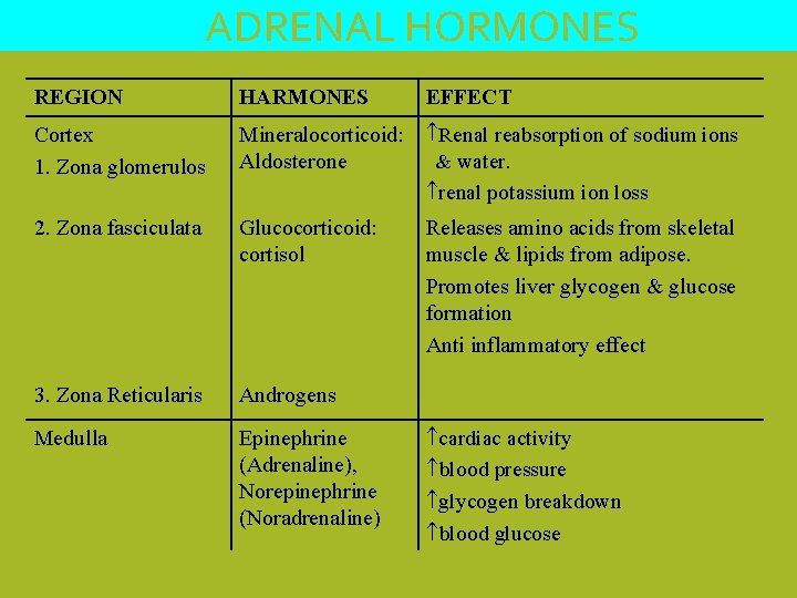 ADRENAL HORMONES REGION HARMONES Cortex 1. Zona glomerulos Mineralocorticoid: Renal reabsorption of sodium ions