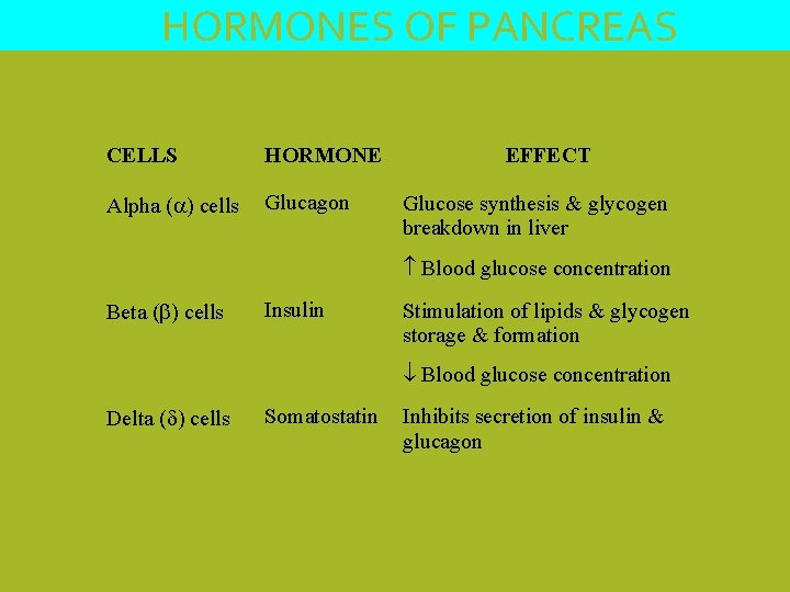 HORMONES OF PANCREAS CELLS HORMONE Alpha ( ) cells Glucagon EFFECT Glucose synthesis &