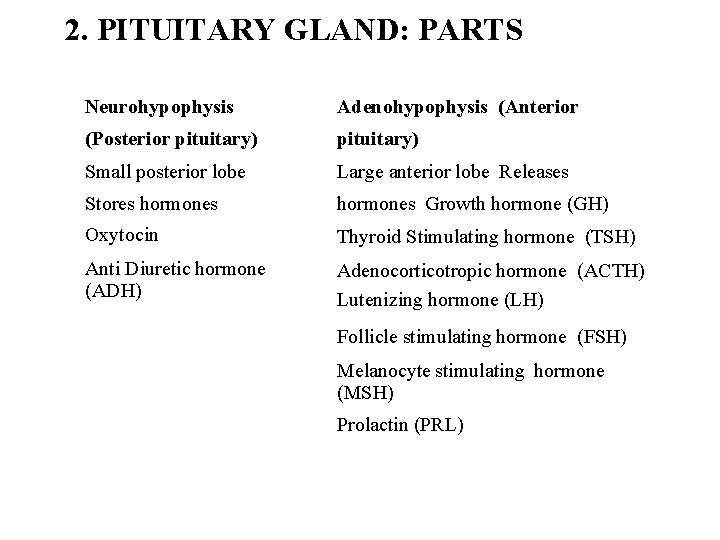 2. PITUITARY GLAND: PARTS Neurohypophysis Adenohypophysis (Anterior (Posterior pituitary) Small posterior lobe Large anterior
