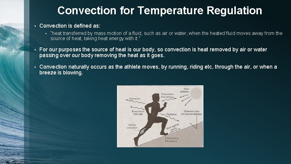 Convection for Temperature Regulation • Convection is defined as: • “heat transferred by mass