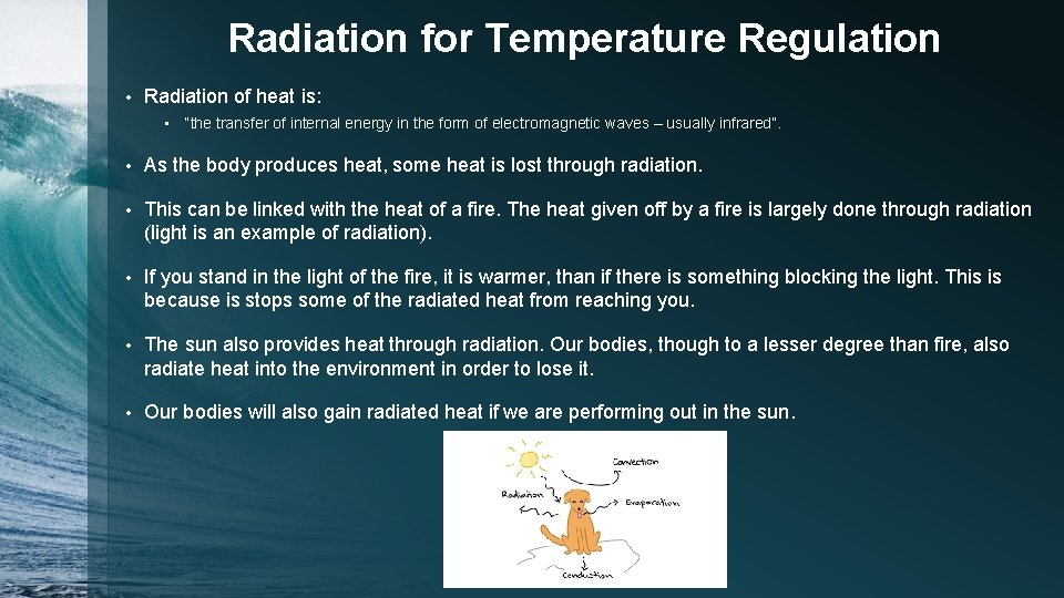 Radiation for Temperature Regulation • Radiation of heat is: • “the transfer of internal