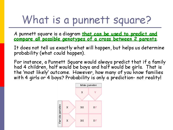 What is a punnett square? A punnett square is a diagram that can be