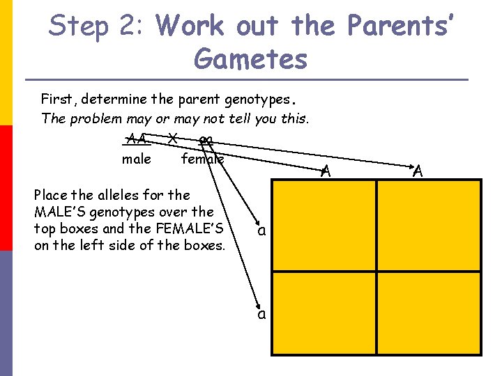 Step 2: Work out the Parents’ Gametes First, determine the parent genotypes. The problem