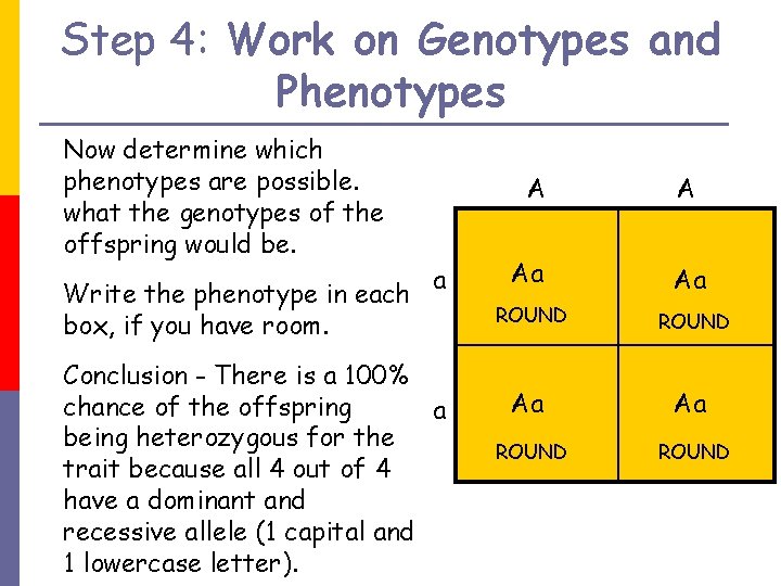 Step 4: Work on Genotypes and Phenotypes Now determine which phenotypes are possible. what
