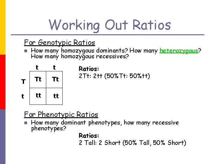 Working Out Ratios For Genotypic Ratios n How many homozygous dominants? How many heterozygous?