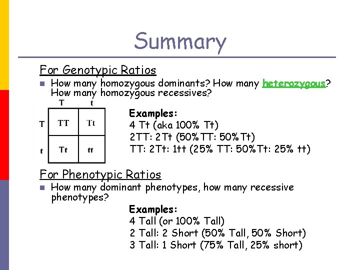 Summary For Genotypic Ratios n How many homozygous dominants? How many heterozygous? How many