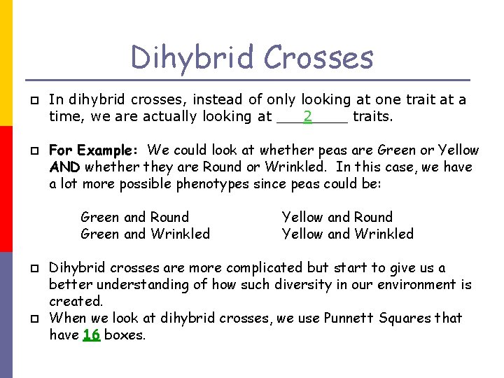 Dihybrid Crosses p p In dihybrid crosses, instead of only looking at one trait