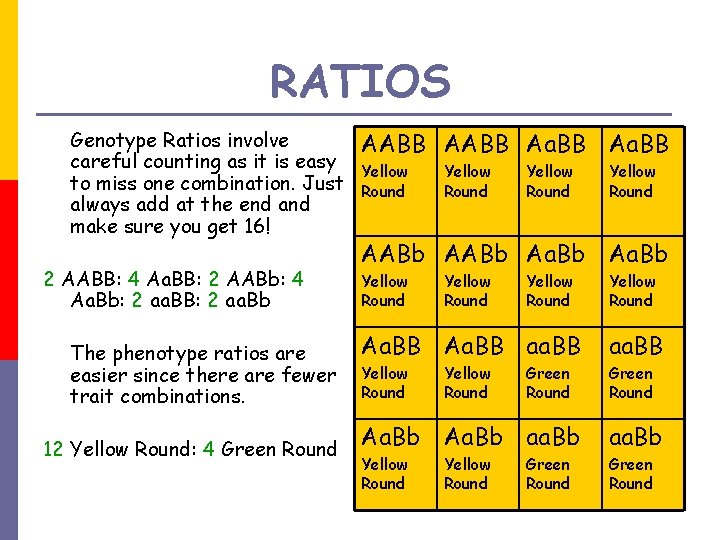 RATIOS Genotype Ratios involve careful counting as it is easy to miss one combination.