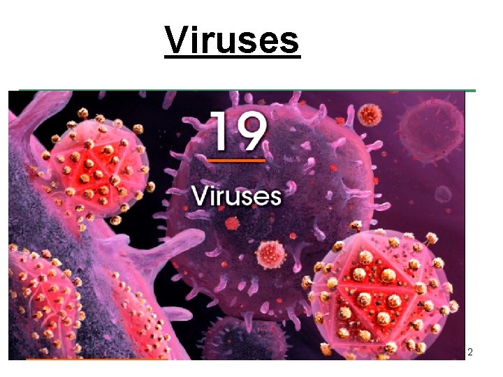 Viruses 2 