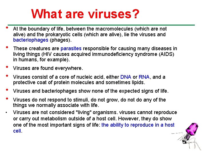 What are viruses? • • At the boundary of life, between the macromolecules (which