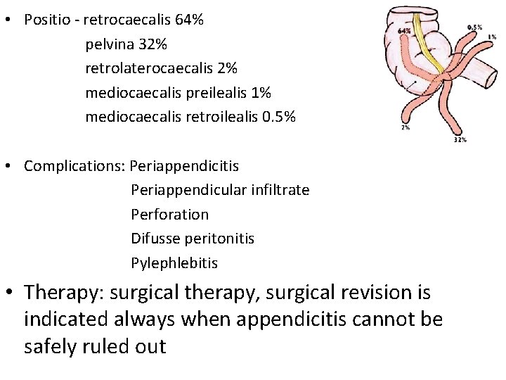  • Positio - retrocaecalis 64% pelvina 32% retrolaterocaecalis 2% mediocaecalis preilealis 1% mediocaecalis