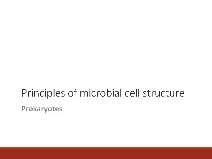 Principles of microbial cell structure Prokaryotes 