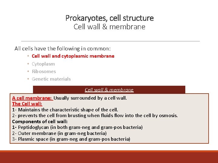 Prokaryotes, cell structure Cell wall & membrane All cells have the following in common: