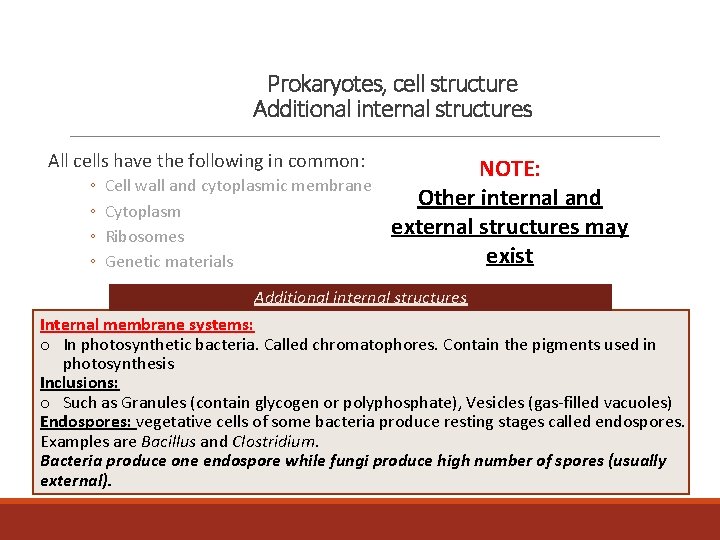 Prokaryotes, cell structure Additional internal structures All cells have the following in common: ◦