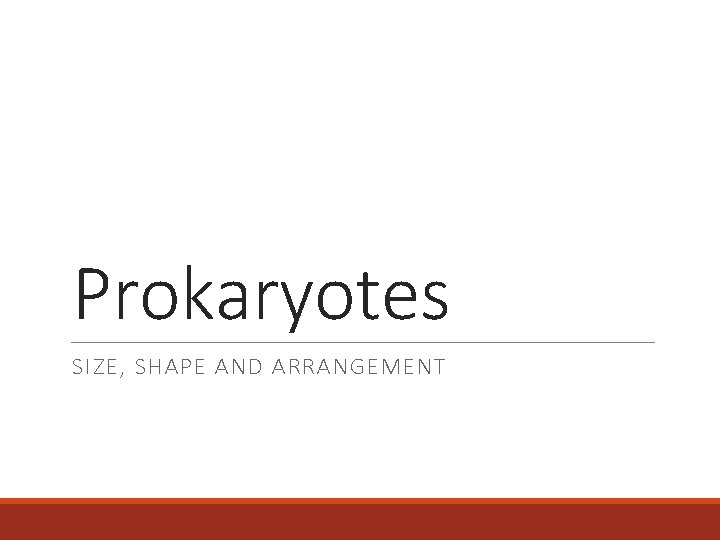 Prokaryotes SIZE, SHAPE AND ARRANGEMENT 