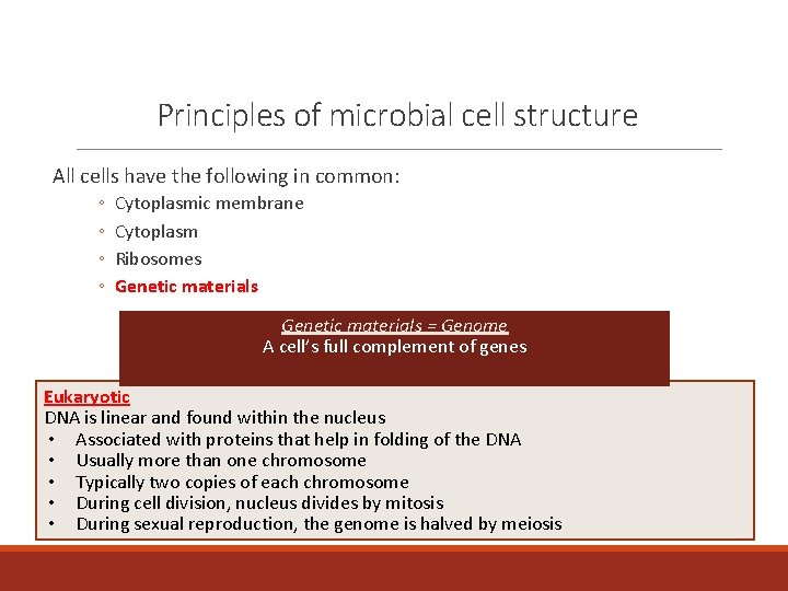 Principles of microbial cell structure All cells have the following in common: ◦ ◦
