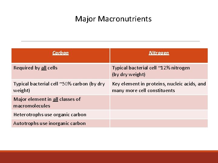 Major Macronutrients Carbon Nitrogen Required by all cells Typical bacterial cell ~12% nitrogen (by