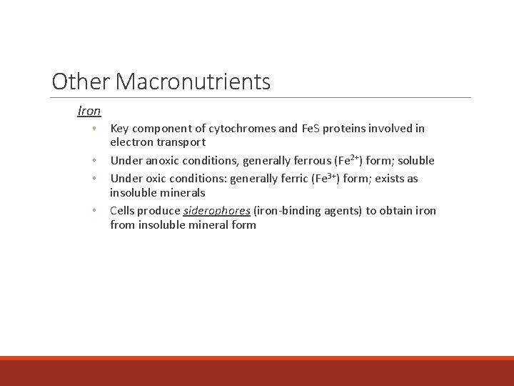 Other Macronutrients Iron ◦ Key component of cytochromes and Fe. S proteins involved in