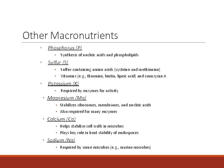 Other Macronutrients ◦ Phosphorus (P) ◦ Synthesis of nucleic acids and phospholipids ◦ Sulfur