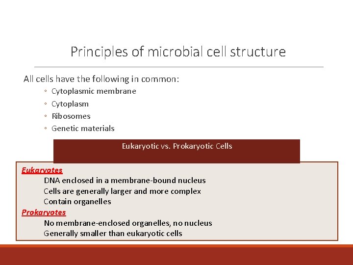 Principles of microbial cell structure All cells have the following in common: ◦ ◦