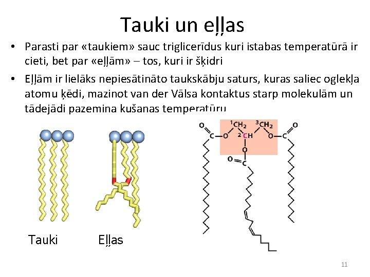 Tauki un eļļas • Parasti par «taukiem» sauc triglicerīdus kuri istabas temperatūrā ir cieti,