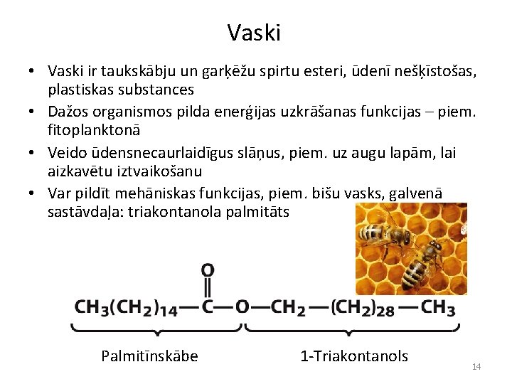 Vaski • Vaski ir taukskābju un garķēžu spirtu esteri, ūdenī nešķīstošas, plastiskas substances •