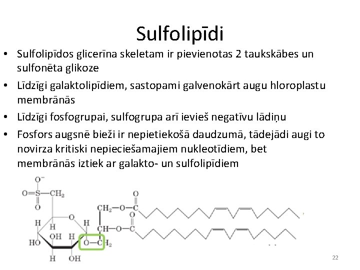 Sulfolipīdi • Sulfolipīdos glicerīna skeletam ir pievienotas 2 taukskābes un sulfonēta glikoze • Līdzīgi