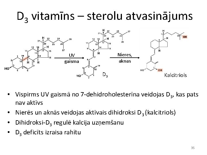 D 3 vitamīns – sterolu atvasinājums Nieres, aknas UV gaisma D 3 Kalcitriols •