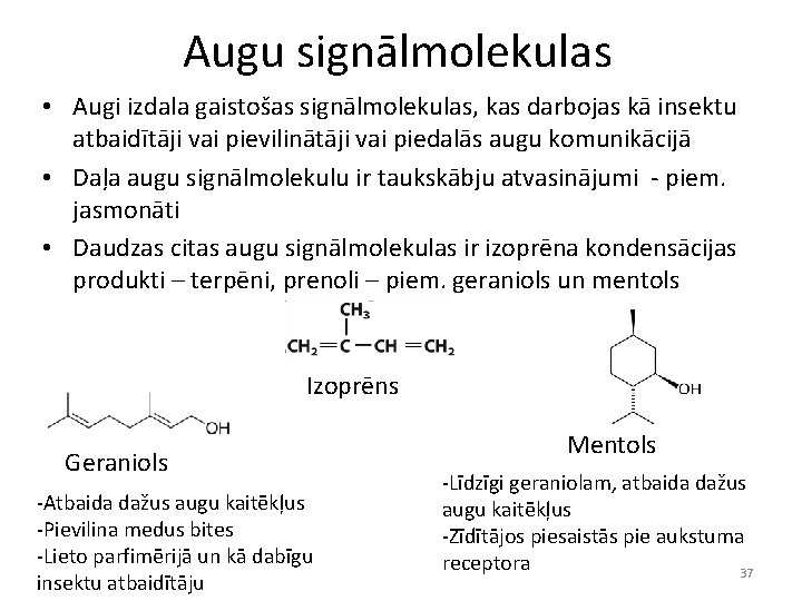 Augu signālmolekulas • Augi izdala gaistošas signālmolekulas, kas darbojas kā insektu atbaidītāji vai pievilinātāji