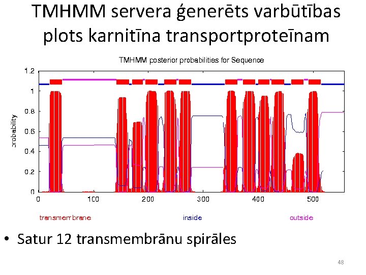 TMHMM servera ģenerēts varbūtības plots karnitīna transportproteīnam • Satur 12 transmembrānu spirāles 48 