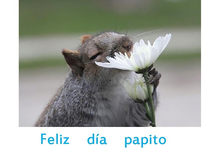 Feliz día papito 