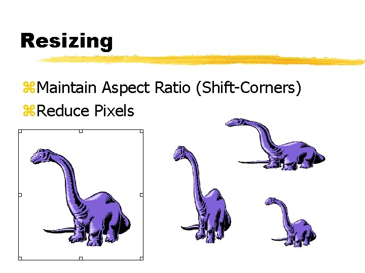 Resizing z. Maintain Aspect Ratio (Shift-Corners) z. Reduce Pixels 